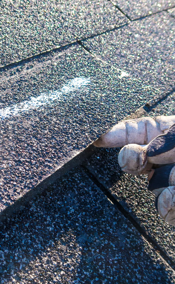 Damaged Roof Shingle